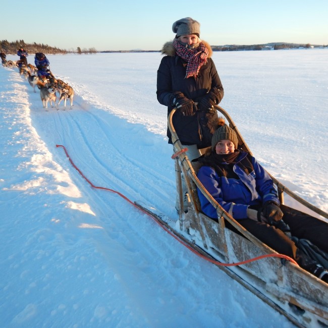 Huskytour in Lappland